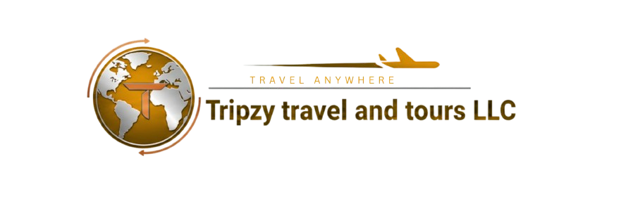 livechat-126454-1763919464-removebg-preview